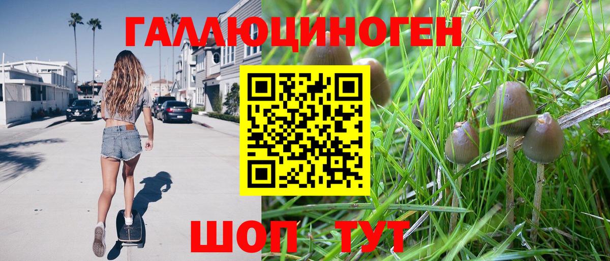 Железногорск  Псилоцибиновые грибы мухоморы  Вход с VPN  Галлюциногенные грибы Magic Shrooms 
